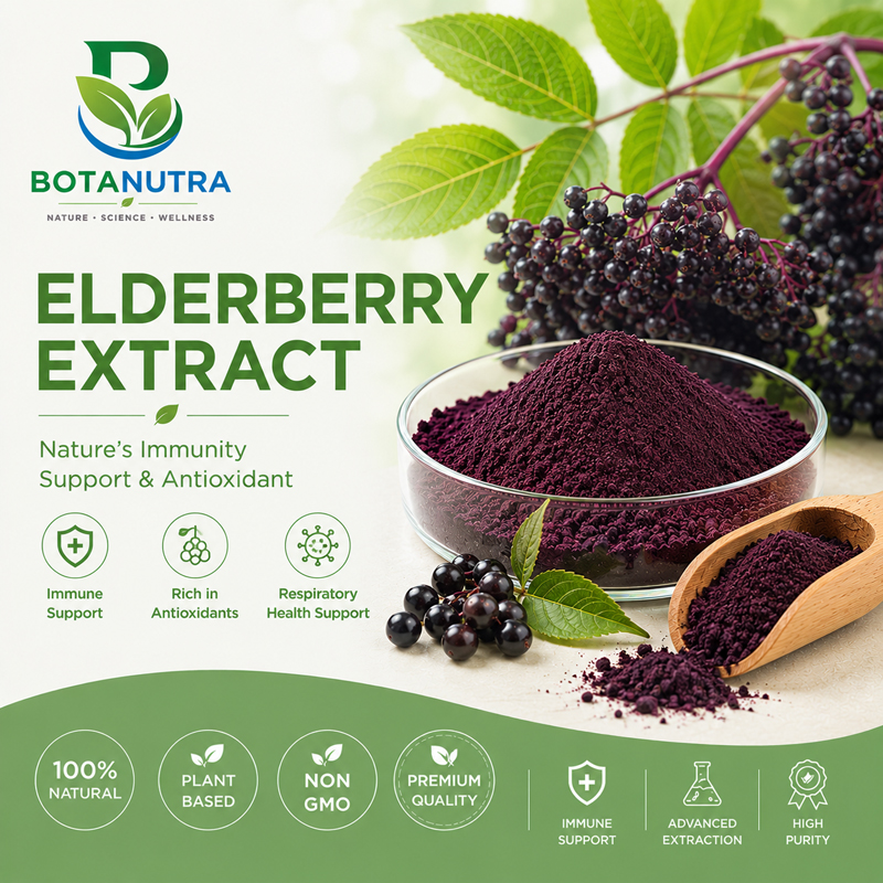 Elderberry Extract