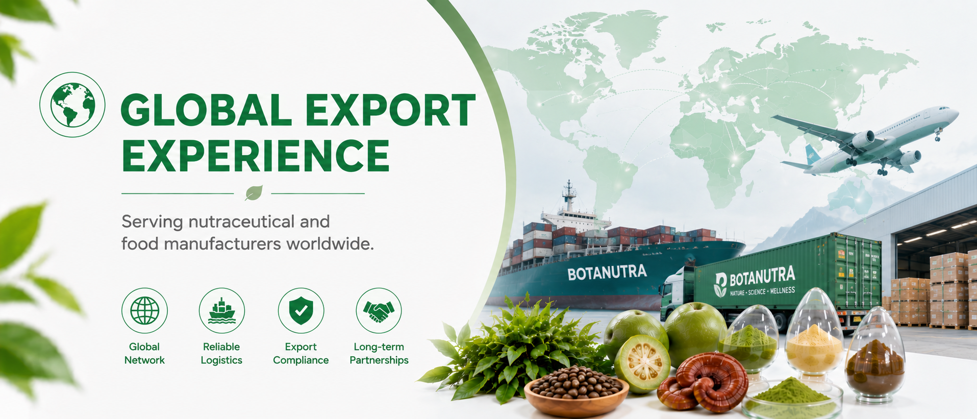 Global Export Experience